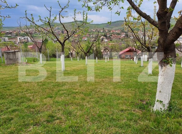 Casa de vânzare 1 camera Livezeni - 182684CV | BLITZ Târgu Mureș | Poza6