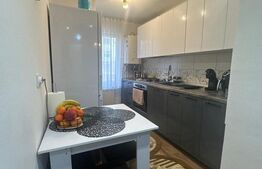 Apartament 2 camere, 48 mp, zona Tudor