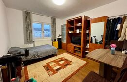 Garsoniera de vanzare, 24 mp, zona Tudor