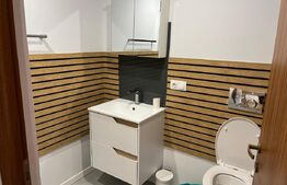 Casa 6 apartamente, 260 mp, zona Ultracentral 