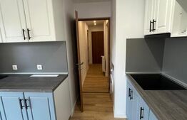 Casa 6 apartamente, 260 mp, zona Ultracentral 