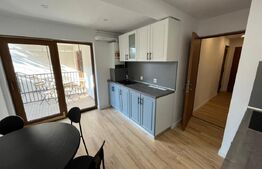 Casa 6 apartamente, 260 mp, zona Ultracentral 