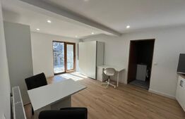 Casa 6 apartamente, 260 mp, zona Ultracentral 