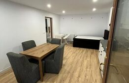 Casa 6 apartamente, 260 mp, zona Ultracentral 