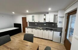 Casa 6 apartamente, 260 mp, zona Ultracentral 