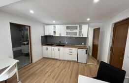 Casa 6 apartamente, 260 mp, zona Ultracentral 