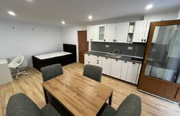 Casa 6 apartamente, 260 mp, zona Ultracentral 