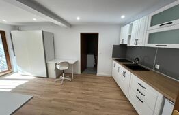 Casa 6 apartamente, 260 mp, zona Ultracentral 