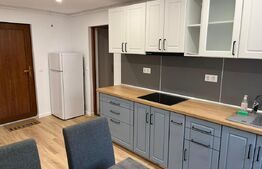 Casa 6 apartamente, 260 mp, zona Ultracentral 