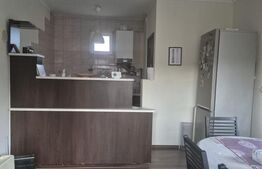 Casa spatioasa de vanzare in Sancrai cu 13 ari de teren