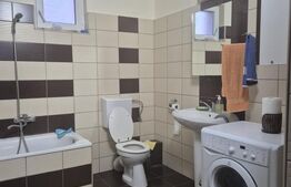 Casa spatioasa de vanzare in Sancrai cu 13 ari de teren