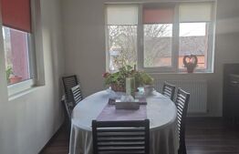 Casa spatioasa de vanzare in Sancrai cu 13 ari de teren