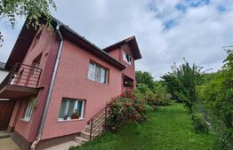 Casa spatioasa de vanzare in Sancrai cu 13 ari de teren