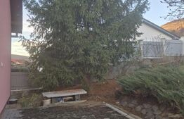 Casa spatioasa de vanzare in Sancrai cu 13 ari de teren