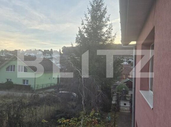 Casa de vânzare 4 camere Sâncraiu de Mureș - 183059CV | BLITZ Târgu Mureș | Poza16