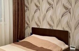 Apartament cu 3 camere, zona Dâmbu