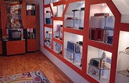 CASA IN CENTRU -REGHIN CU SPATIU COMERCIAL 