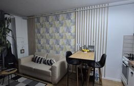 Studio, 39 mp, zona Tudor