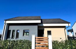 Casă boutique în Sângeorgiu de Mureș – zonă exclusivistă, ideală pentru medici