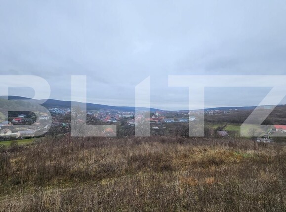 Teren de vânzare Livezeni - 183602TV | BLITZ Târgu Mureș | Poza2