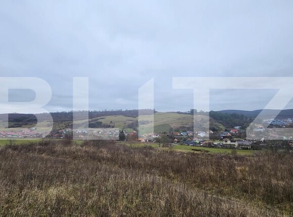 Teren de vânzare Livezeni - 183602TV | BLITZ Târgu Mureș | Poza1