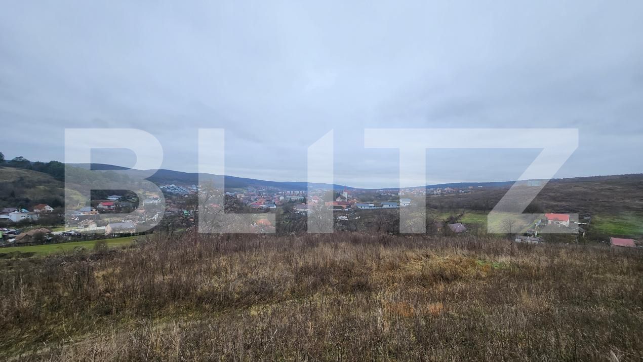 Teren de vânzare Livezeni - 183602TV | BLITZ Târgu Mureș | Poza2