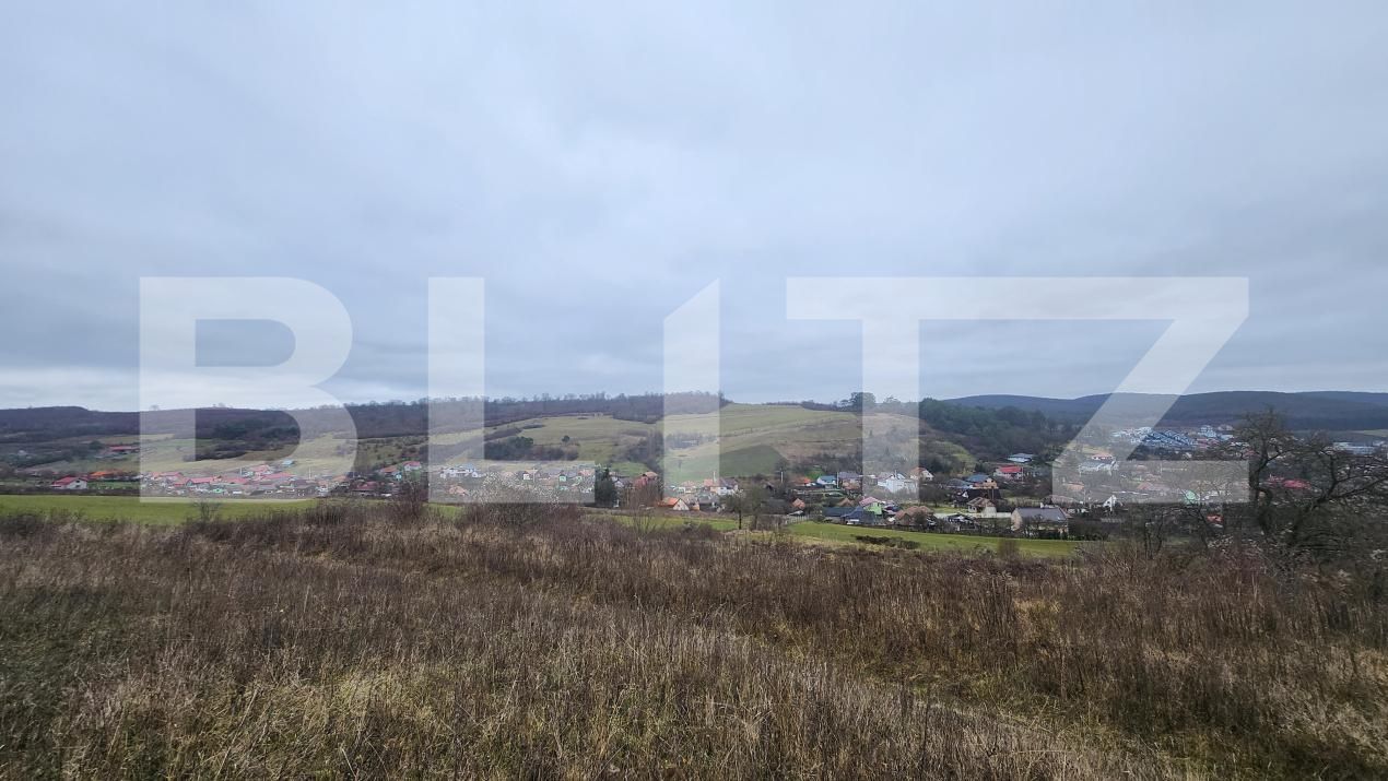 Teren de vânzare Livezeni - 183602TV | BLITZ Târgu Mureș | Poza1