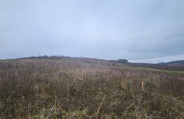 Teren intravilan 4774 mp  de vanzare in Livezeni