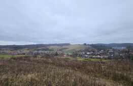 Teren intravilan 4774 mp  de vanzare in Livezeni