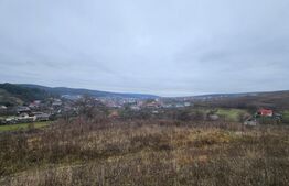 Teren intravilan 4774 mp  de vanzare in Livezeni
