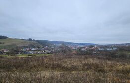 Teren intravilan 4774 mp  de vanzare in Livezeni