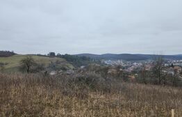 Teren intravilan 4774 mp  de vanzare in Livezeni