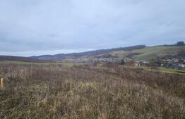 Teren intravilan 4774 mp  de vanzare in Livezeni