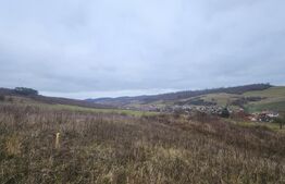 Teren intravilan 4774 mp  de vanzare in Livezeni