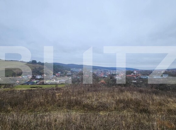 Teren de vânzare Livezeni - 183603TV | BLITZ Târgu Mureș | Poza6