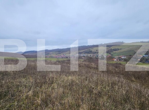 Teren de vânzare Livezeni - 183603TV | BLITZ Târgu Mureș | Poza8