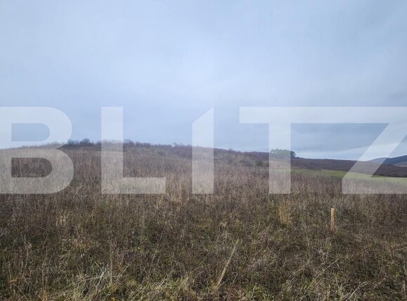 Teren de vânzare Livezeni - 183603TV | BLITZ Târgu Mureș | Poza7