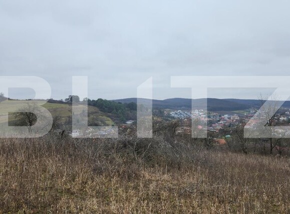 Teren de vânzare Livezeni - 183603TV | BLITZ Târgu Mureș | Poza2