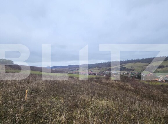 Teren de vânzare Livezeni - 183603TV | BLITZ Târgu Mureș | Poza3