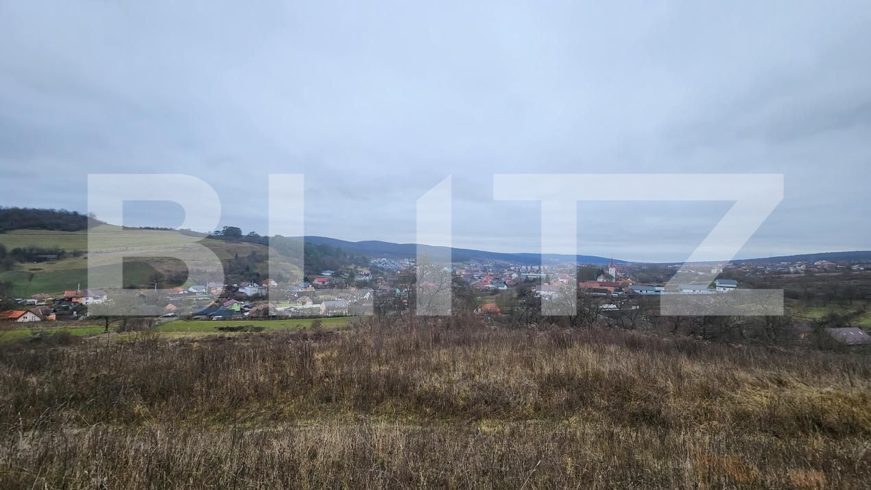 Teren de vânzare Livezeni - 183603TV | BLITZ Târgu Mureș | Poza6