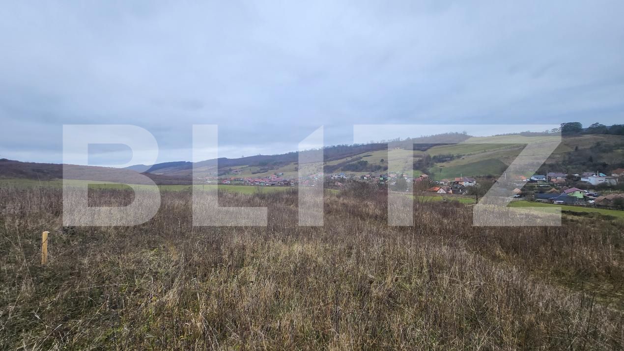 Teren de vânzare Livezeni - 183603TV | BLITZ Târgu Mureș | Poza8