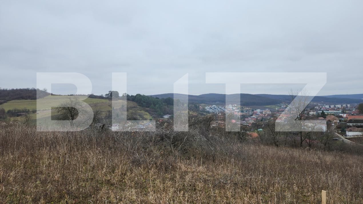 Teren de vânzare Livezeni - 183603TV | BLITZ Târgu Mureș | Poza2