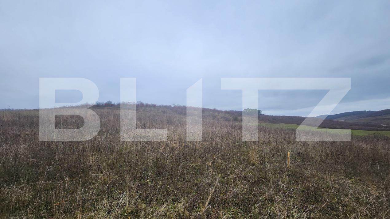 Teren de vânzare Livezeni - 183603TV | BLITZ Târgu Mureș | Poza7