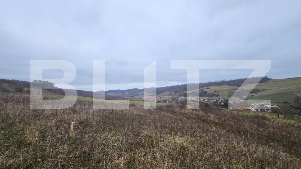 Teren de vânzare Livezeni - 183603TV | BLITZ Târgu Mureș | Poza3