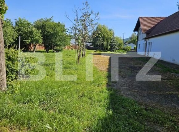 Casa de vânzare 13 camere Sighisoara  - 183671CV | BLITZ Târgu Mureș | Poza12