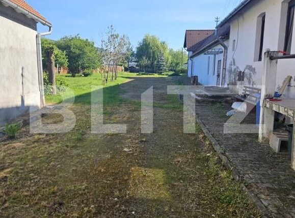 Casa de vânzare 13 camere Sighisoara  - 183671CV | BLITZ Târgu Mureș | Poza12