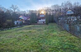 Oportunitate ! Casa pe structura de lemn in Corunca