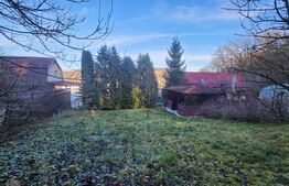 Oportunitate ! Casa pe structura de lemn in Corunca