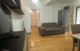 Apartament cu 3 camere de 70 mp  și terasă la parter, zona Tudor 