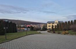 Casa de vanzare in Corunca, ideala pentru 2 familii sau pensiune